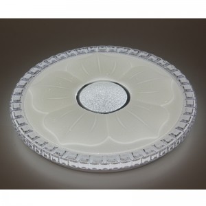 Cx220 plafond