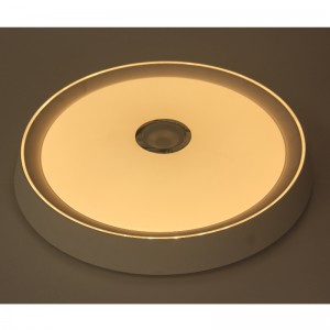 Mu108 plafond